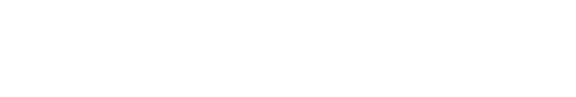 Pluscargo_Logo